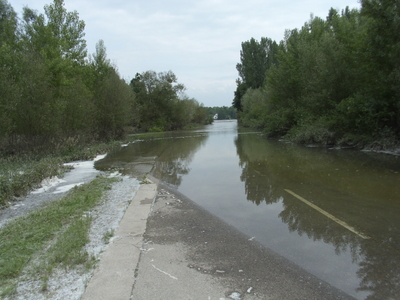 Hochwasser am Rhein