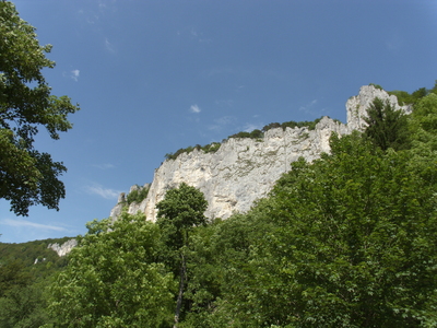 Felsen im Donautal